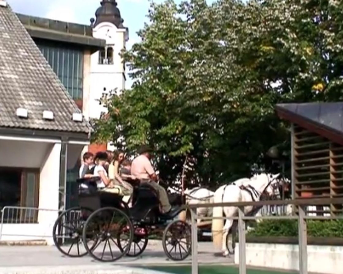 2006_zravilisce