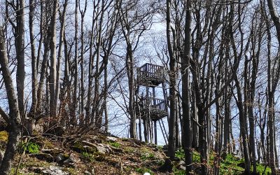 Svetovni dan Zemlje – planinski pohod na Javornik (1240 m)