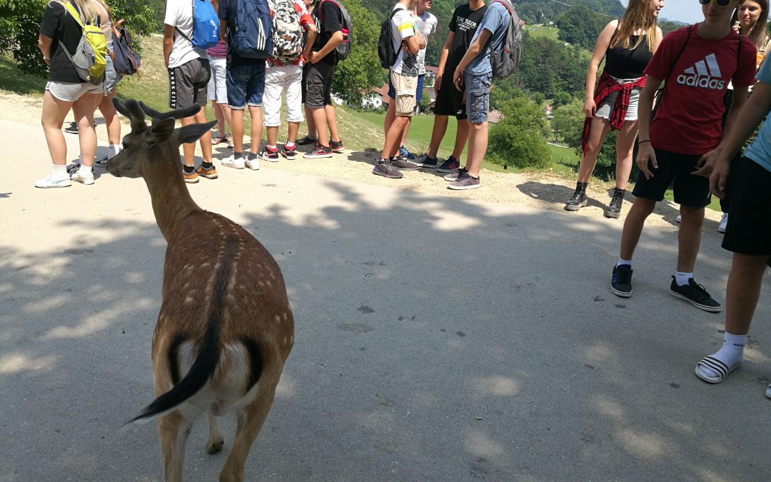 Osmošolci na zaključnem izletu