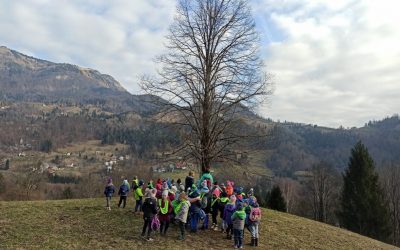 ZIMSKI POHOD RIBIC IN METULJEV