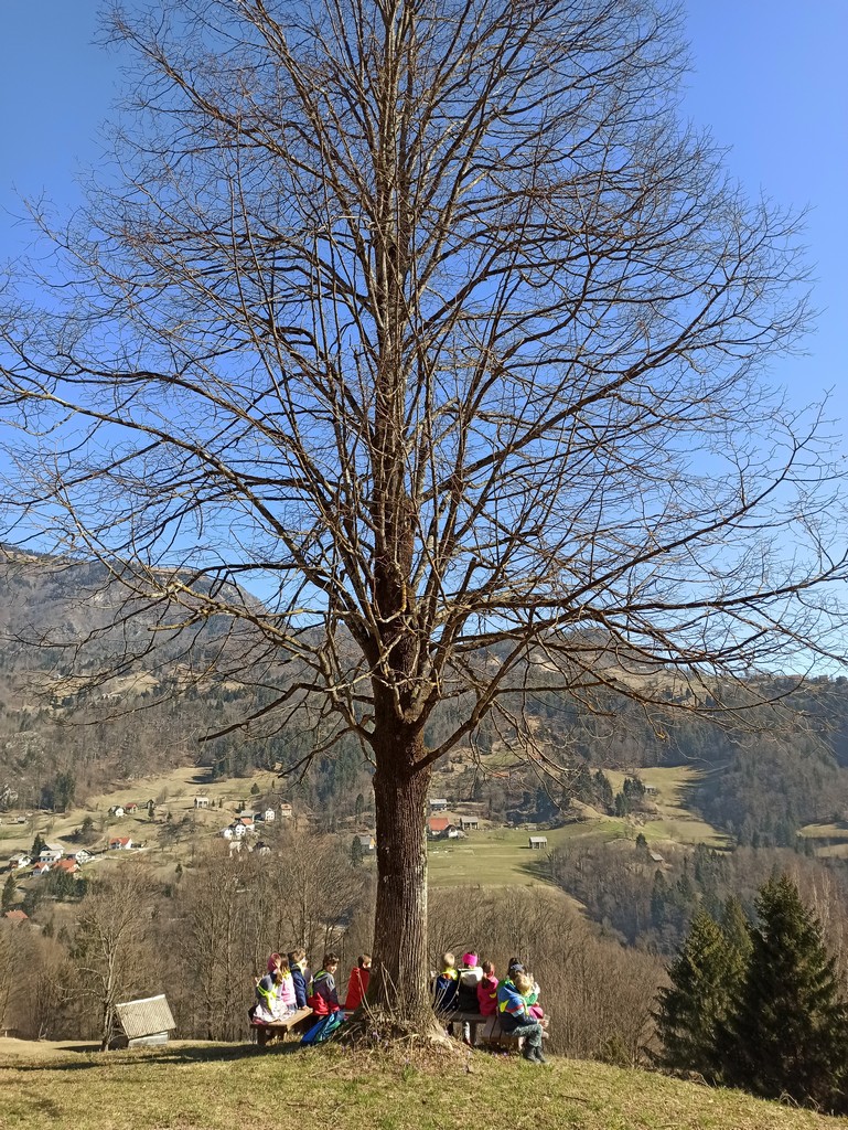 p_12