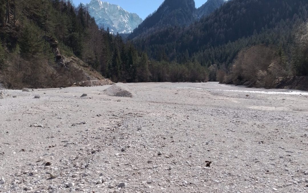 CŠOD KRANJSKA GORA 2. DAN