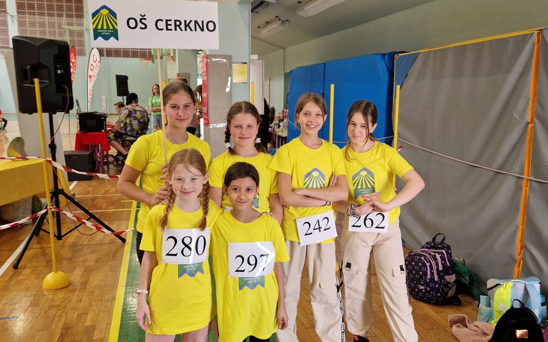 PODROČNO TEKMOVANJE PROJEKTA ŠOLSKI PLESNI FESTIVAL