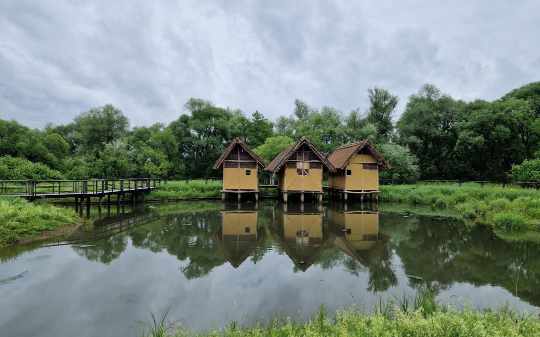 ZAKLJUČNI IZLET NA LJUBLJANSKO BARJE