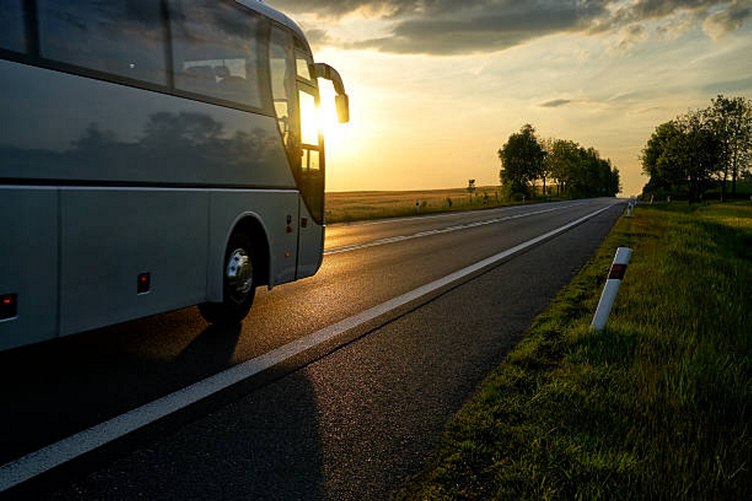 bus