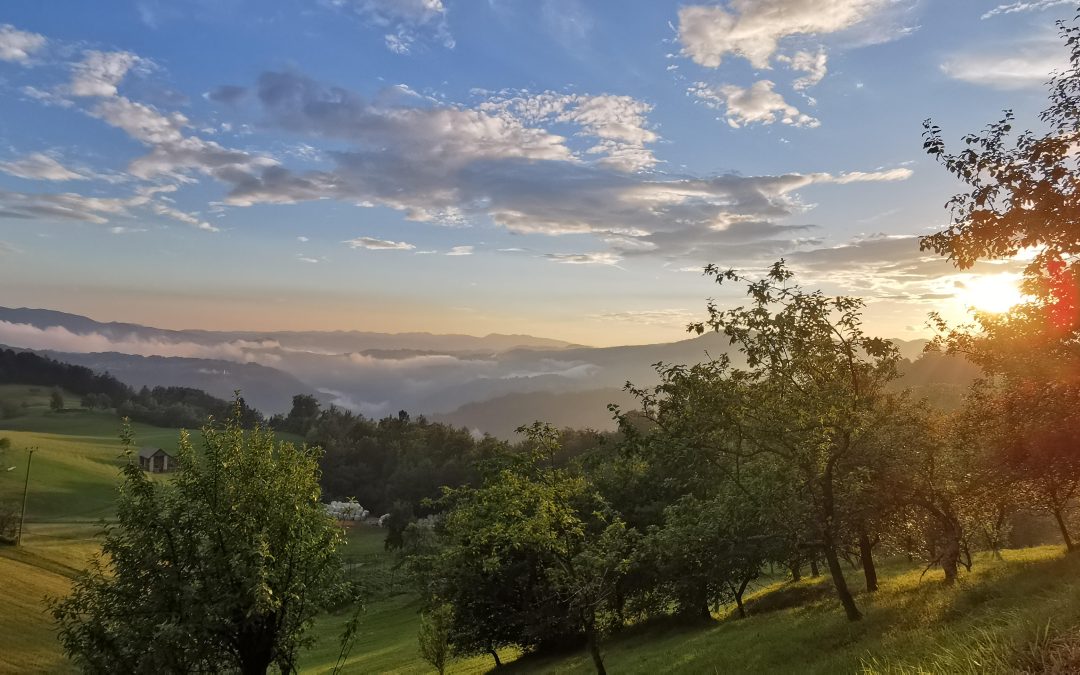 Utrinki narave skozi objektiv naših učencev